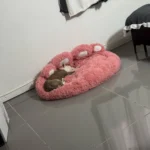 Cozy Bear Paw Pet Bed - Fluffy Comfort for All Sizes photo review