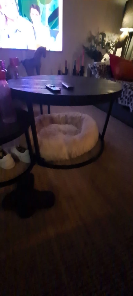 Cozy Round Pet Bed in Stylish Gradient for Large Dogs photo review