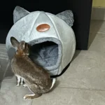 Cozy Cotton Cat Cave: Ultimate Winter Pet Bed Retreat photo review