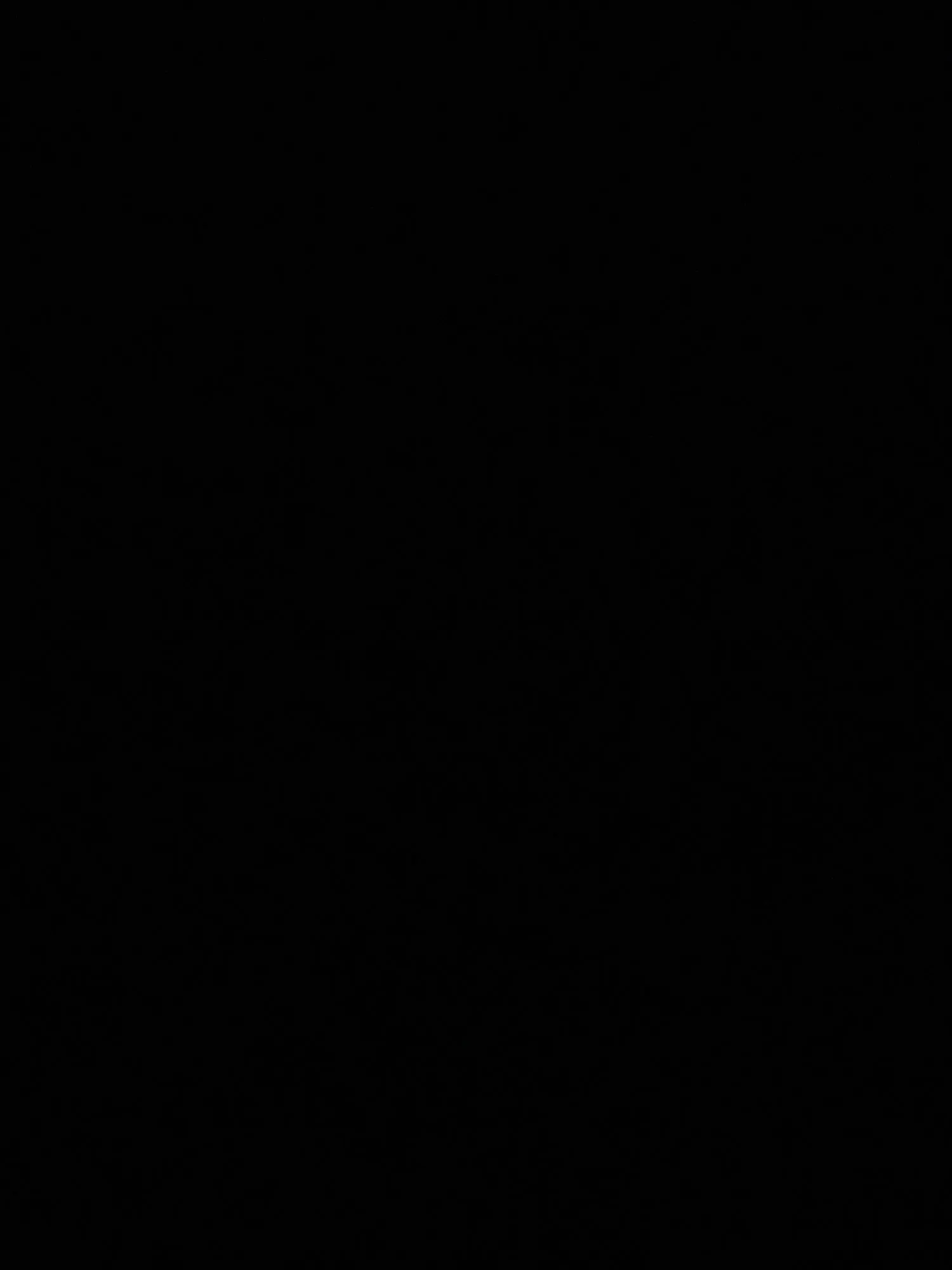 Real Touch Tulip Faux Flower Bouquets - 5 or 10 Pcs for Home Elegance photo review