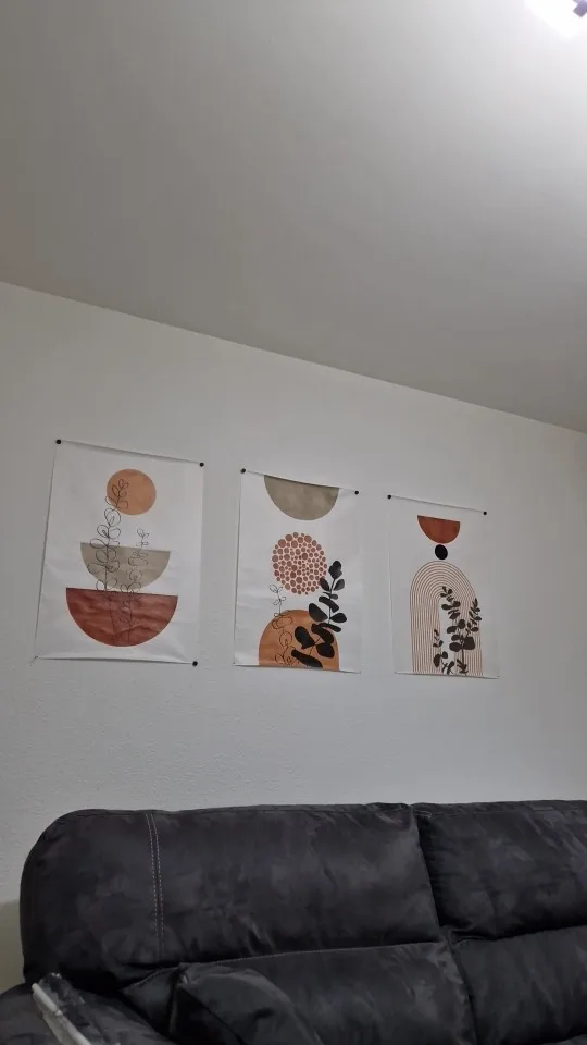 Boho Abstract Plant Canvas Prints - Modern Wall Art Trio photo review