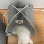 Versatile Foldable Cat Tent: Cool & Cozy All-Season Haven photo review