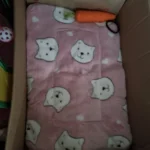 Cozy Plush Cat & Small Dog Bed Mat - Breathable & Soft photo review