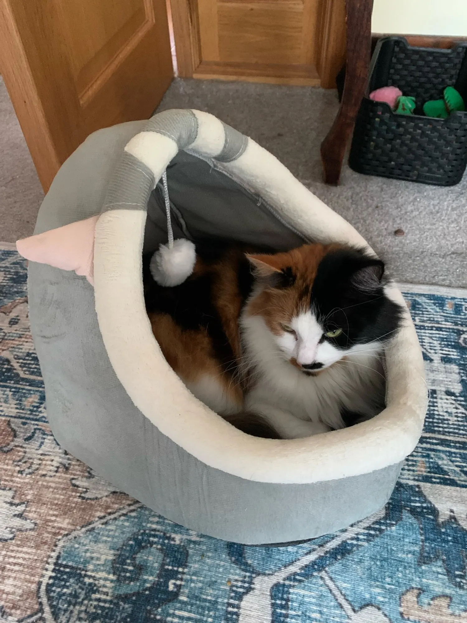 Cozy Cartoon Cat Bed: Removable, Washable, & Foldable Delight photo review