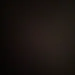 Luxurious Jacquard Sofa Cover for Custom Fit Comfort photo review