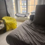 Sunny Cat Hammock Bed - Cozy Aerial Window Nest for Cats photo review