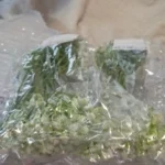 Vibrant Artificial Gypsophila Flowers for Effortless Elegance photo review