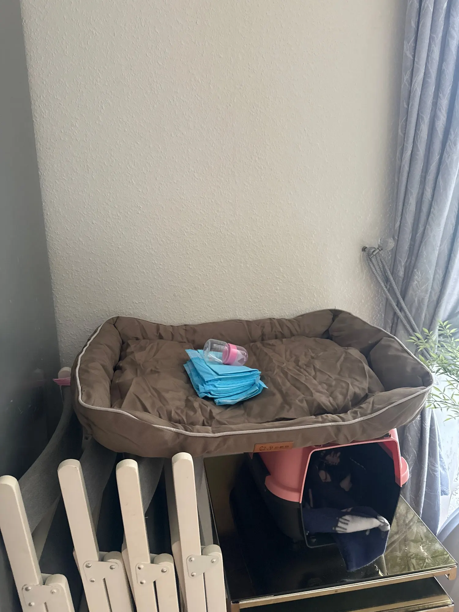 Cozy Adjustable Cotton Pet Nest Bed for Cats & Puppies photo review