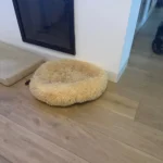 Cozy Round Pet Bed in Stylish Gradient for Large Dogs photo review