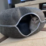 Cozy Dual Cat Bed & Tunnel - Interactive Plush Nest photo review