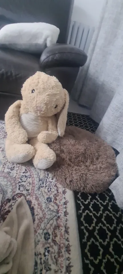 Cozy Plush Cat Bed for Ultimate Warmth & Comfort photo review