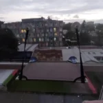 Breathable Cat Hammock with Suction Cups for Sunbathing Bliss photo review