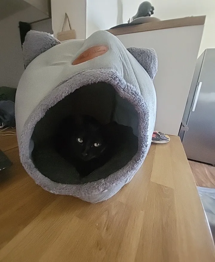 Cozy Cotton Cat Cave: Ultimate Winter Pet Bed Retreat photo review