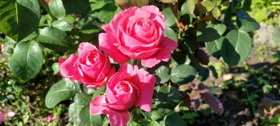 Luxurious Cobblestone Non-Slip Memory Foam Bath Mat photo review