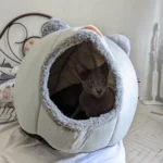 Cozy Cotton Cat Cave: Ultimate Winter Pet Bed Retreat photo review
