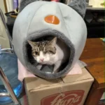 Cozy Cotton Cat Cave: Ultimate Winter Pet Bed Retreat photo review