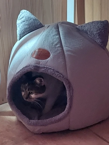 Cozy Cotton Cat Cave: Ultimate Winter Pet Bed Retreat photo review