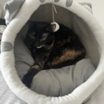 Cozy Cotton Cat Cave: Warm Pet Bed for Cats & Small Dogs photo review