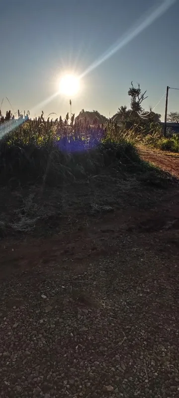 Charming Floral Canvas Apron - Stain Resistant & Stylish photo review