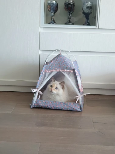 Cozy Flower Tent Nest for Cats & Small Dogs - All Seasons photo review