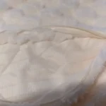 Cozy Cream Pineapple Turtle Plush Pillowcase for Home Decor photo review