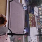 Breathable Cat Hammock with Suction Cups for Sunbathing Bliss photo review