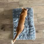 Cozy Plush Cat & Small Dog Bed Mat - Breathable & Soft photo review