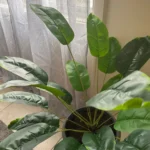 Lifelike 18-Leaf Tropical Palm Tree for Effortless Decor photo review