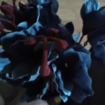 Elegant Magnolia Silk Flower Set - 5 Forks, 20 Heads for Home Decor photo review