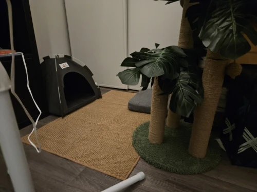 Versatile Foldable Cat Tent: Cool & Cozy All-Season Haven photo review