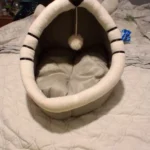 Cozy Cartoon Cat Bed: Removable, Washable, & Foldable Delight photo review