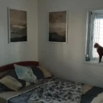 Serene Japanese Wabi Sabi Mountain Canvas Art Set photo review