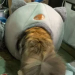 Cozy Cotton Cat Cave: Ultimate Winter Pet Bed Retreat photo review
