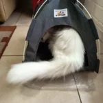 Versatile Foldable Cat Tent: Cool & Cozy All-Season Haven photo review