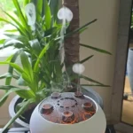Enchanting Jellyfish Flame Humidifier & Aroma Diffuser 350 ML photo review