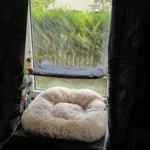 Sunny Cat Hammock Bed - Cozy Aerial Window Nest for Cats photo review