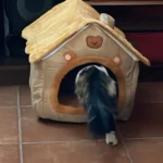 Cozy Foldable Pet House: Washable Cave for Cats & Small Dogs photo review