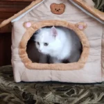 Cozy Foldable Pet House: Washable Cave for Cats & Small Dogs photo review