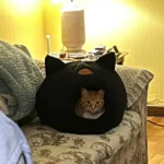 Cozy Cotton Cat Cave: Ultimate Winter Pet Bed Retreat photo review