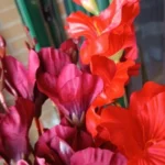 Elegant Magnolia Silk Flower Set - 5 Forks, 20 Heads for Home Decor photo review