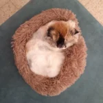 Home Plush Pet Nest Winter Cat Nest Dog Nest Warm Detachable and Washable Round Cat Nest Pet Bed Seasonal Universal Decoration photo review