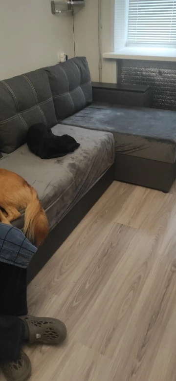 Plush Anti-Slip Sofa Slipcover for Cozy Home Style photo review