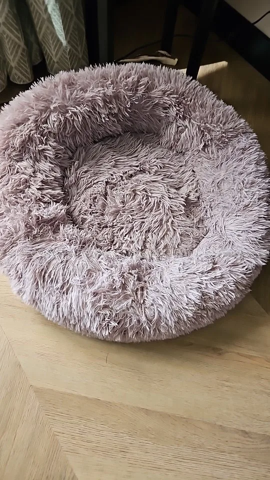 Plush Donut Cat Bed: Cozy, Washable Comfort for Pets photo review