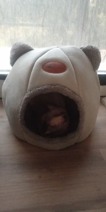 Cozy Cotton Cat Cave: Ultimate Winter Pet Bed Retreat photo review