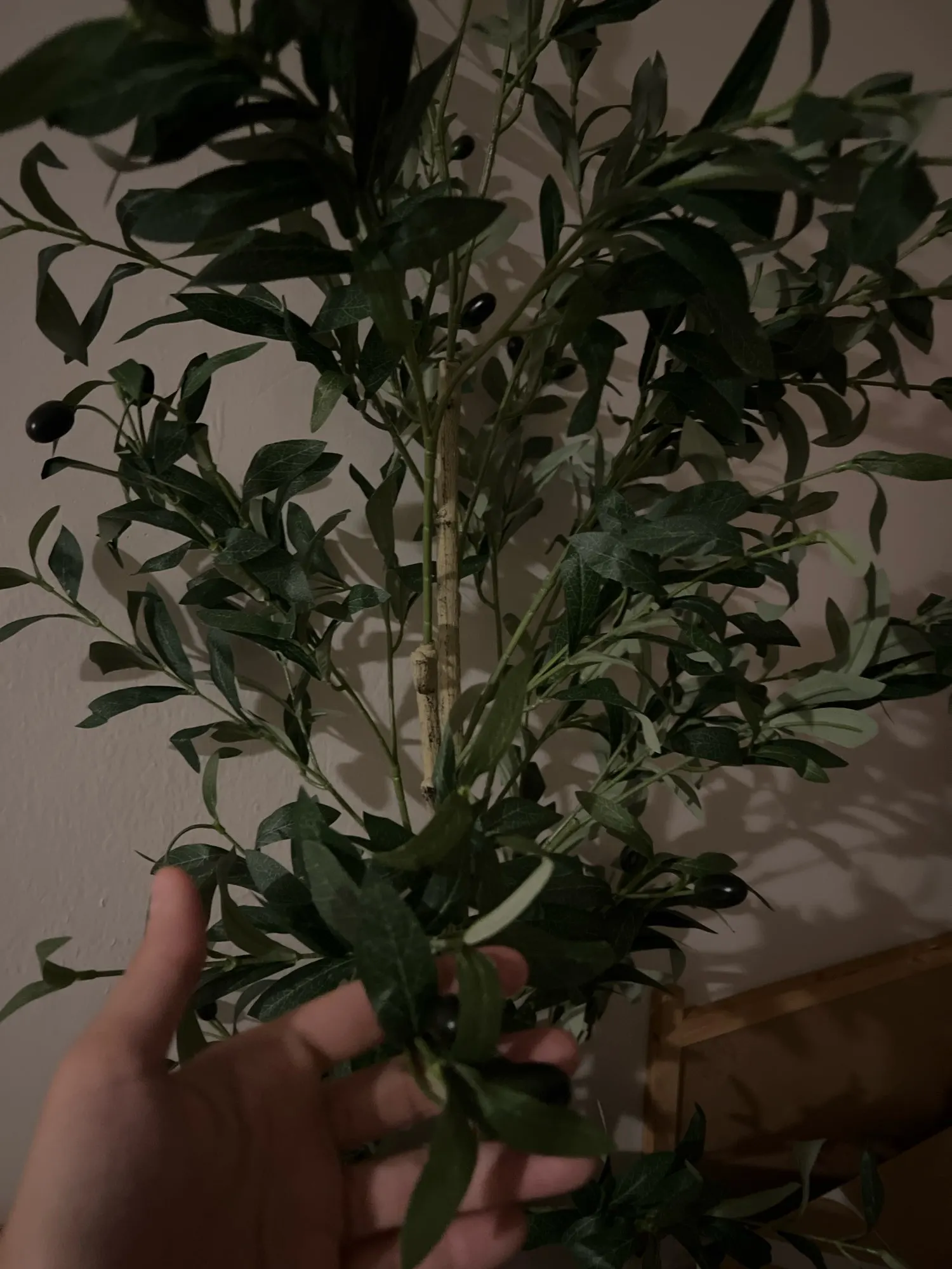 Elevate Your Decor: 120-180 CM Olive Tree Branch for Any Space photo review