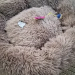 Plush Donut Cat Bed: Cozy, Washable Comfort for Pets photo review