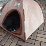 Versatile Foldable Cat Tent: Cool & Cozy All-Season Haven photo review