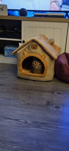 Cozy Foldable Pet House: Washable Cave for Cats & Small Dogs photo review