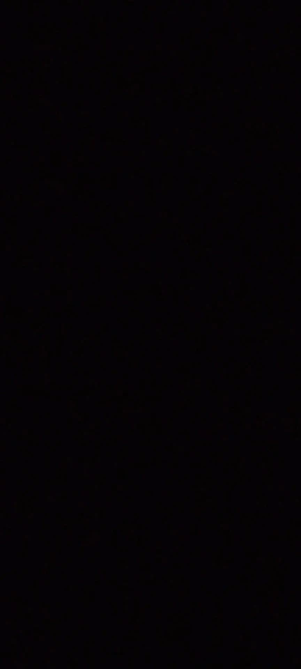 Modern Black Plastic Vase - Chic Boho Decor for Every Room photo review