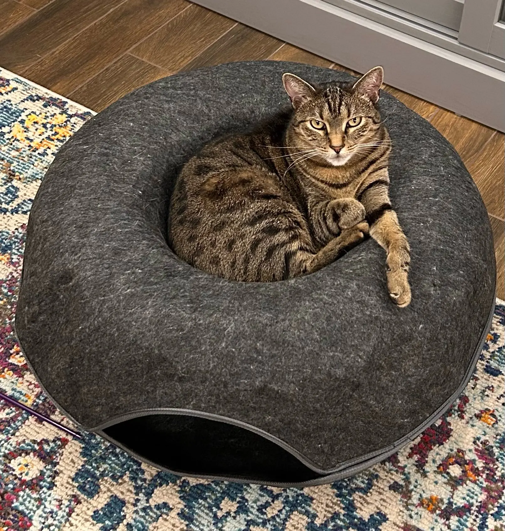 Cozy Felt Donut Cat Bed & Tunnel - Interactive Play Haven photo review